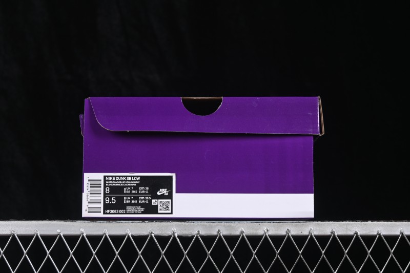Nike SB Dunk Low Skateboarding Shoes with Premium Leather Upper - HF3063-002